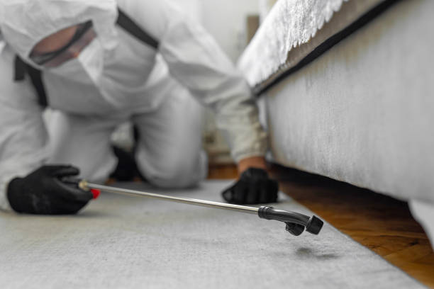 Professional Termite Control technician working in Pierre Part, LA